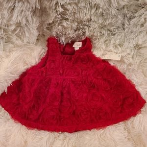 Valentine's Rose's Cat & Jack Dress with Bloomers